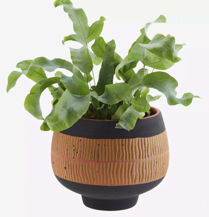 Cache pot, terracotta, peint à la main, Madame Stoltz