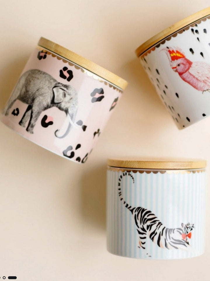 Pot hermétique Tigre en porcelaine, taille S, Yvonne Ellen