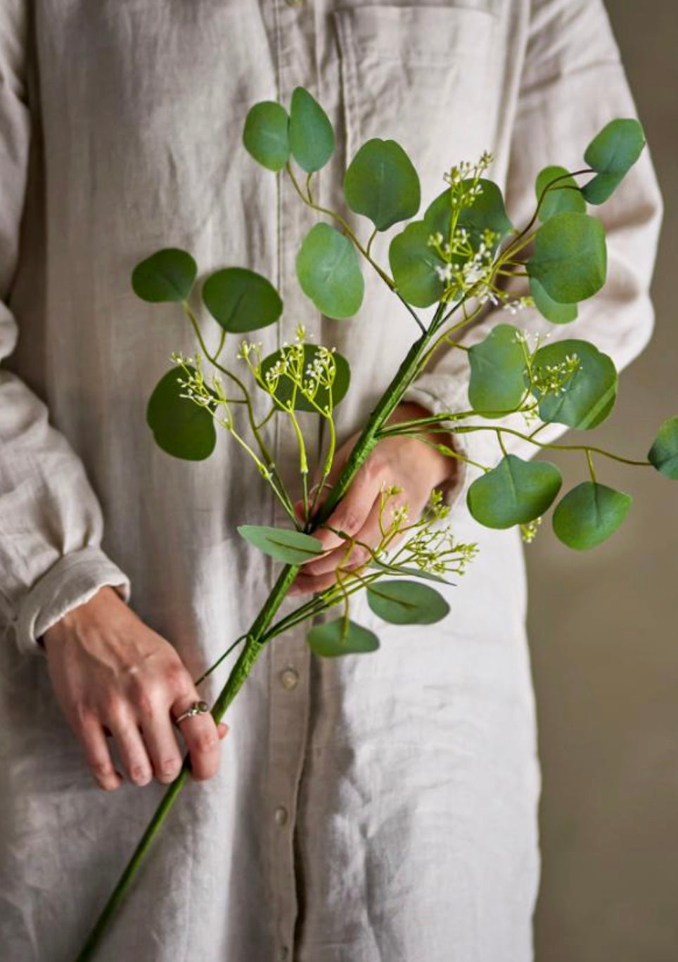 Branche Eucalyptus, fleur artificielle Bloomingville, H 82 cm