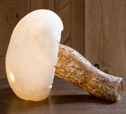 Lampe champignon led