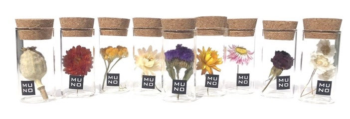 Fleurs séchées