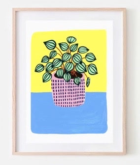 Illustration A3 Peperomia Plant