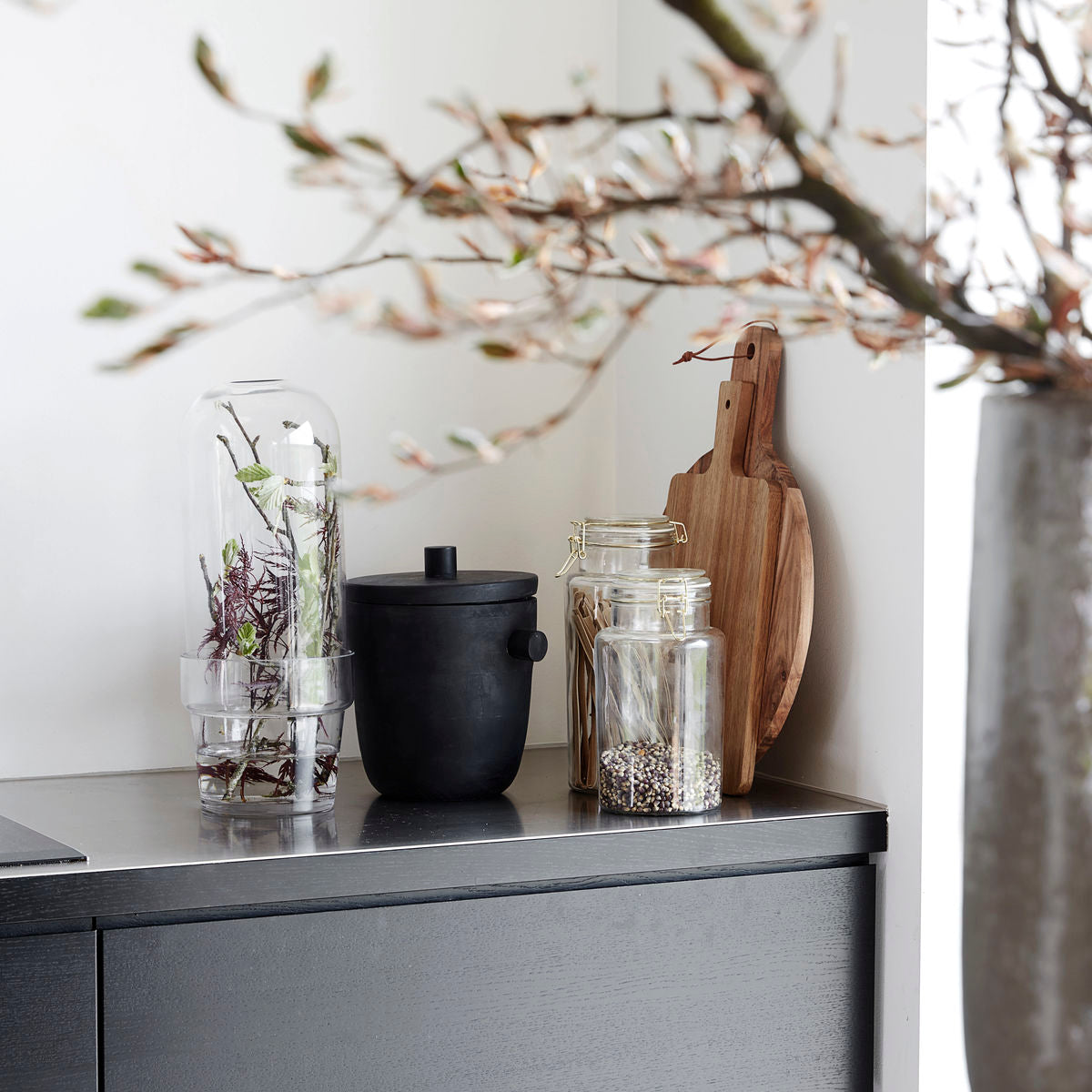 Mini-serre pour plantes House Doctor