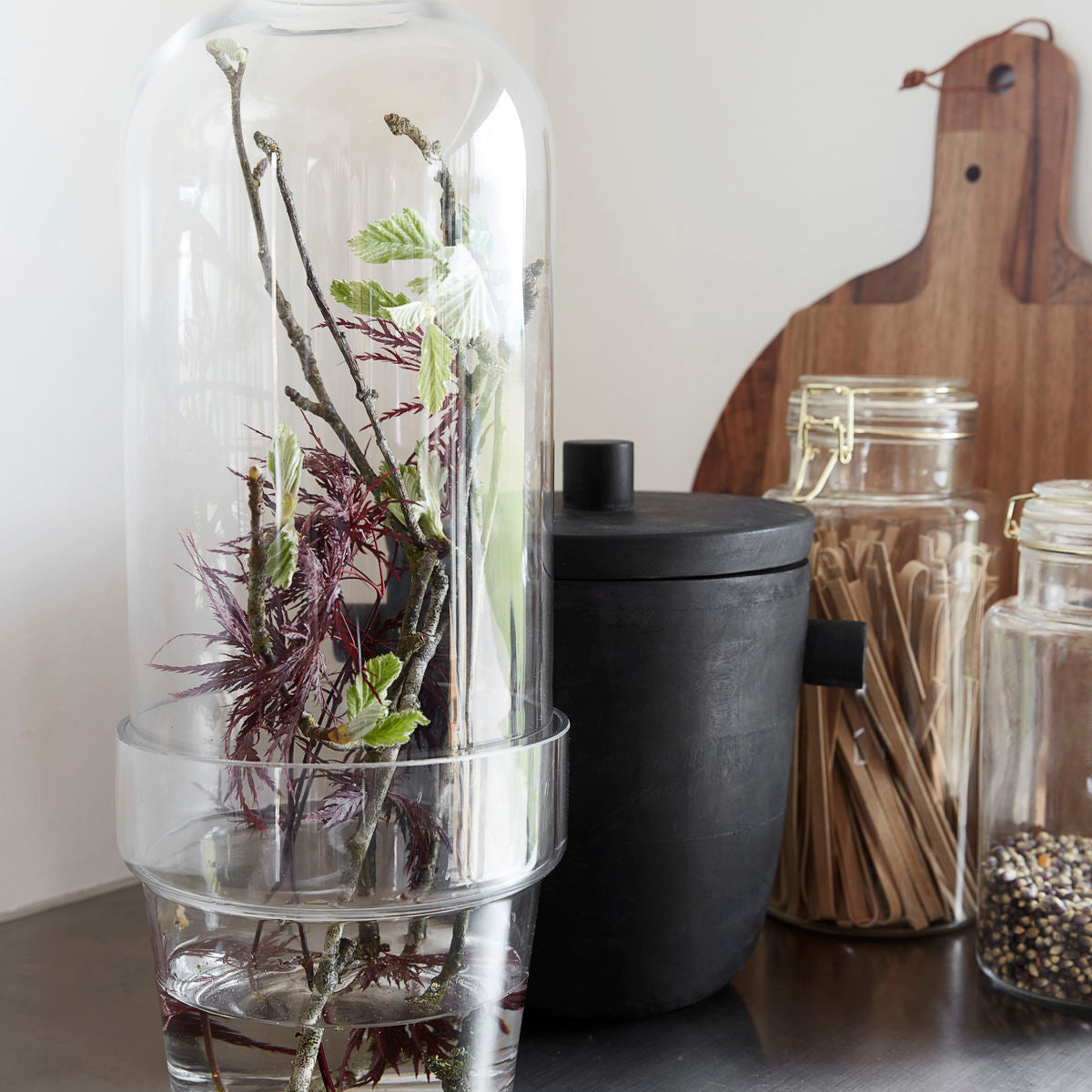 Mini-serre pour plantes House Doctor